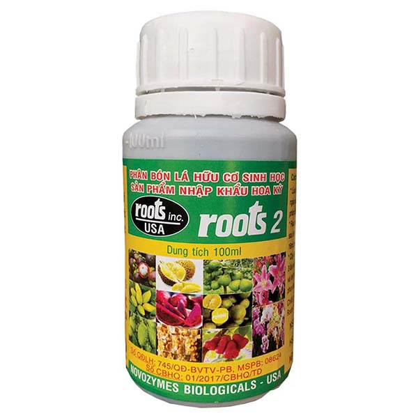 Phân kích và dưỡng rễ